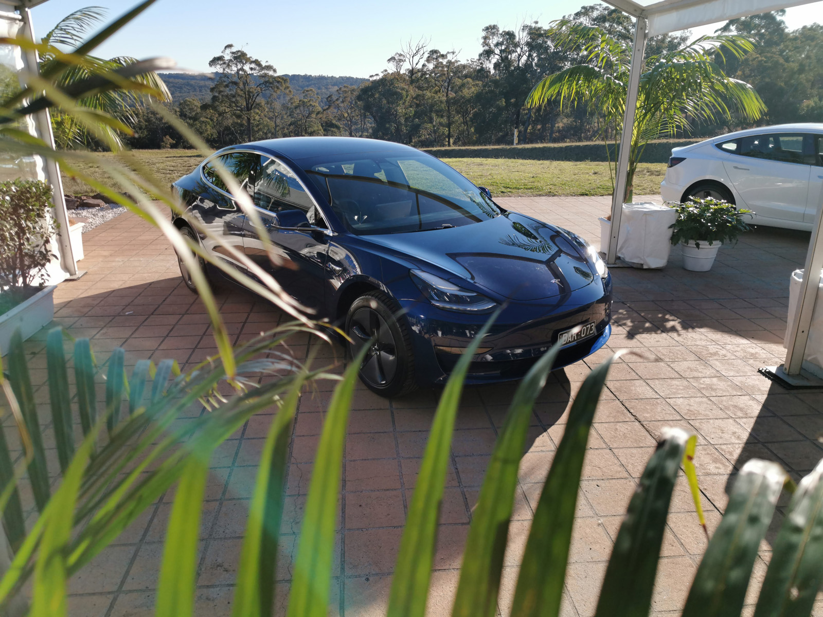 How to finance a Tesla Model 3, the Ferrari or you can